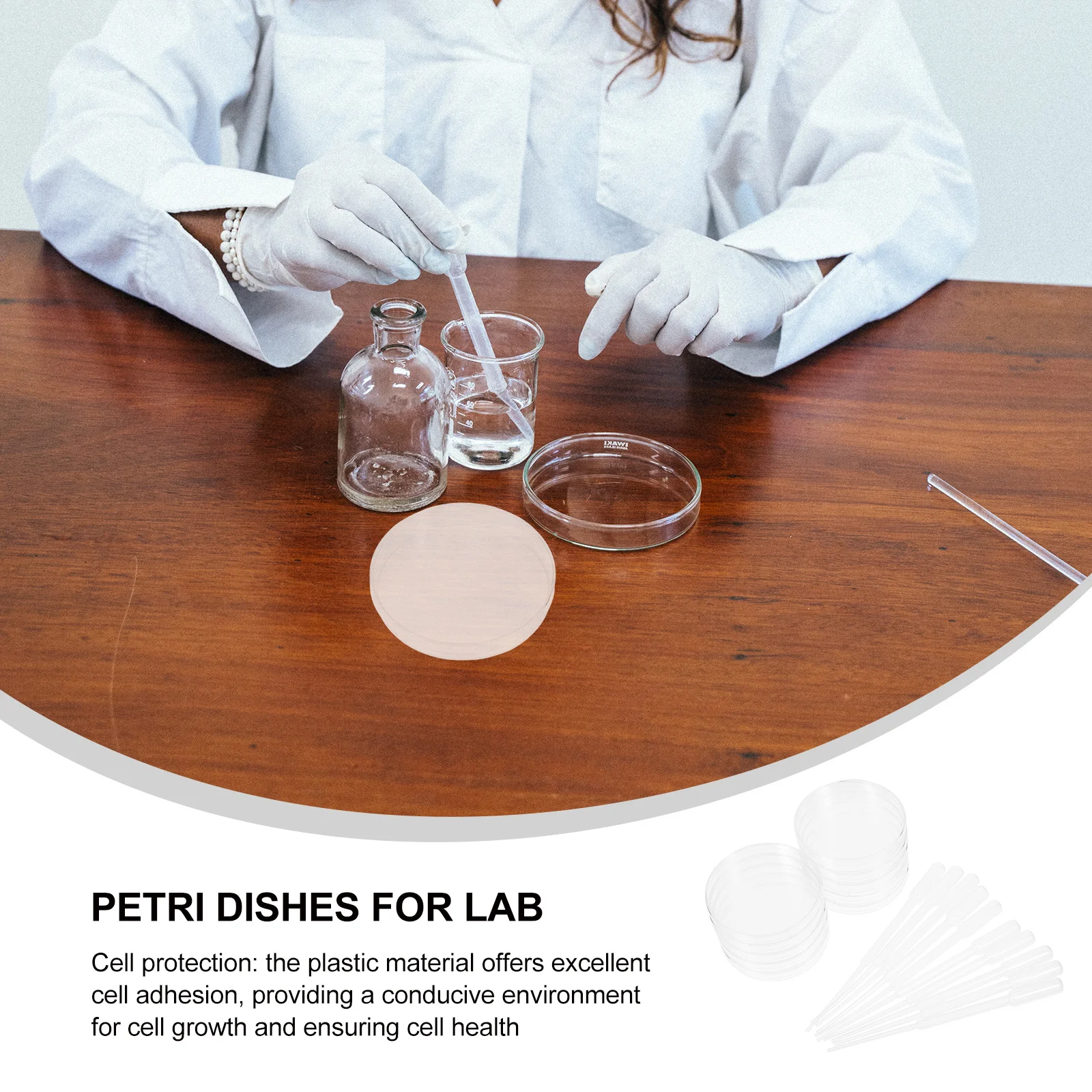 

Plastic Petri Dish Clear Dishes Experiment Transfer Pipettes Dropper Culture for Lab