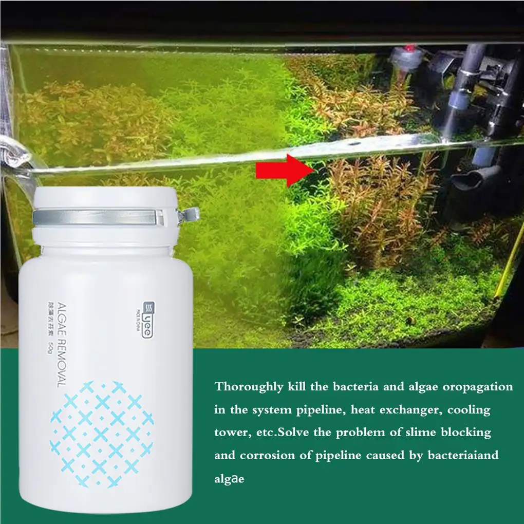 조류 제거기 정화 피팅, 범용 수족관 연못 분수 수영장 청소 도구, 유지 보수 액세서리