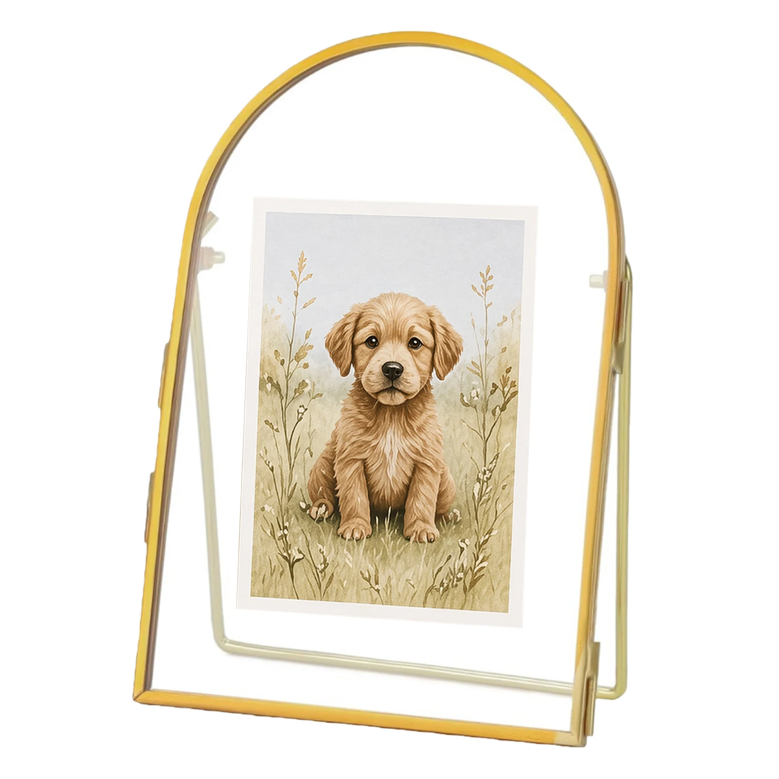 Golden Curved Glass Photo Frame Floating Display Vintage Tabletop Display Holder Multifunctional for Dried Flowers Art Photos
