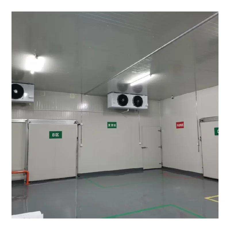 10ft 20ft Walk in Cold Room Freezer Chambre Froide with Double Doors Customizable Cold Storage Room for Warehouse Use