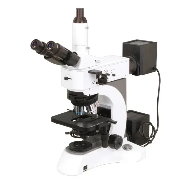 Best Seller First P… - image