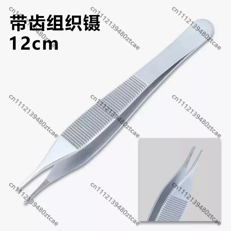 Steel Dental Surgical Tissue Tweezers with Hook & Teeth, Oral Plastic Surgery Forceps, Reusable Instrument for Dental Implant
