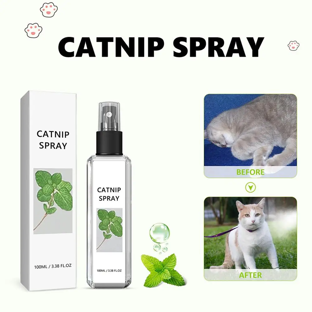 1/3/PCS Herbal Cat Joy Spray Celery Pets Catnip Spray Celery Pets Herbal Cat Joy, Joy Natural Plant Catnip