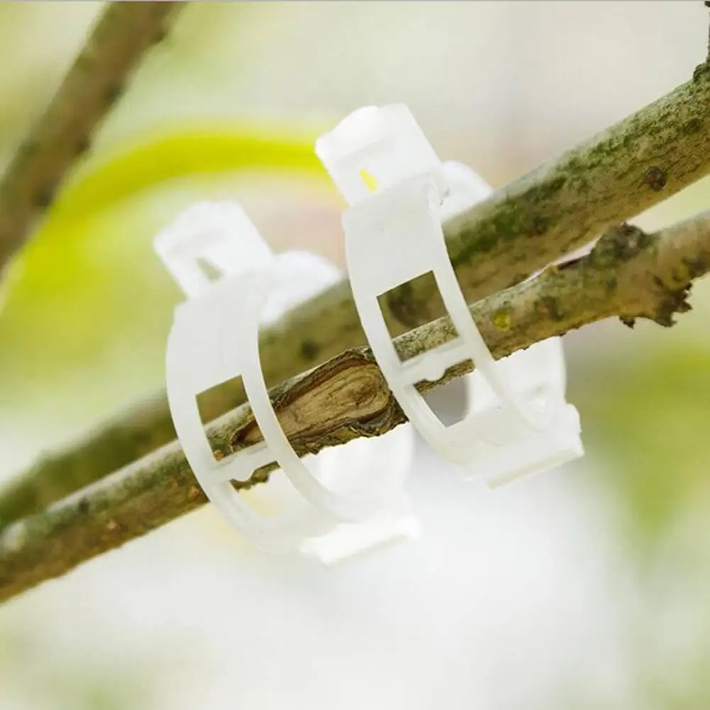 

Plastic Plant Support Clips For Tomato Hanging Trellis Vine Connects Plants Greenhouse Vegetables Garden Supplies