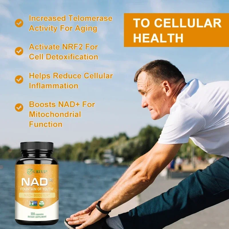 NAD Supplements - Antioxidant Enhancer That Slows Down The Cellular Aging Process