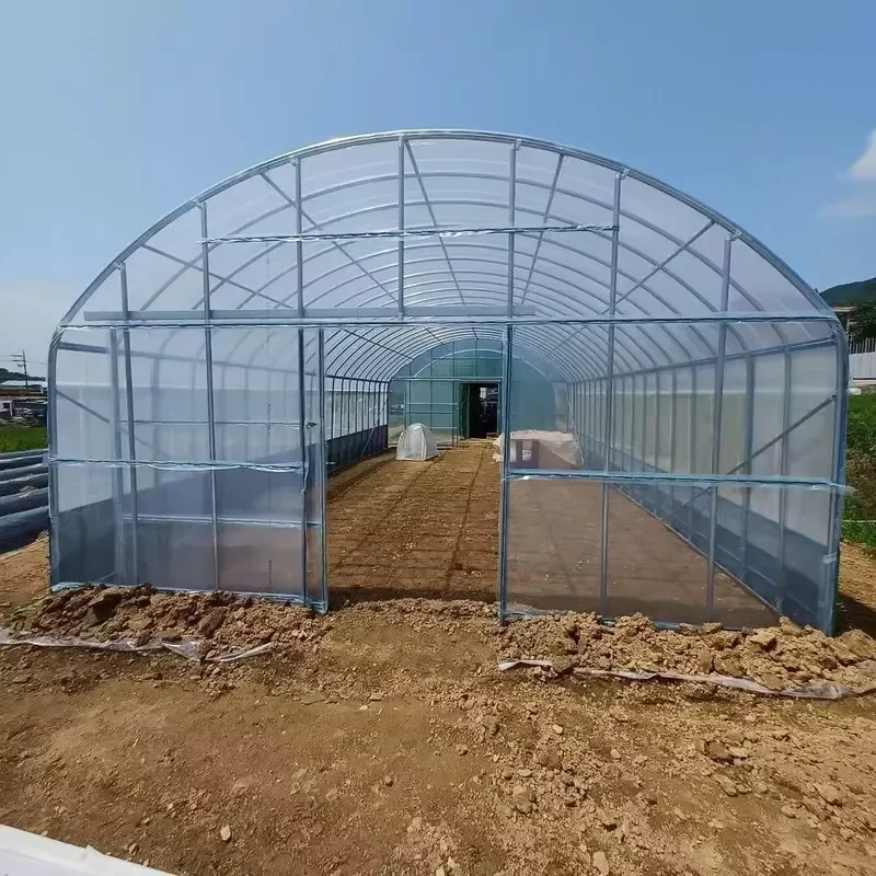 Single-Span Agricultural Greenhouses and Farm Tunnel PE Plastic Film Cultivation Shed Skeleton Tomato Greenhouse for Sale