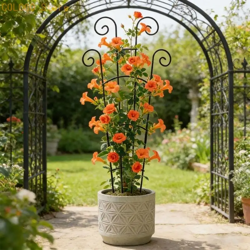 Indoor Stackable Plant Trellis Climbing Plant Small Plant Metal Plant Trellis D0LD