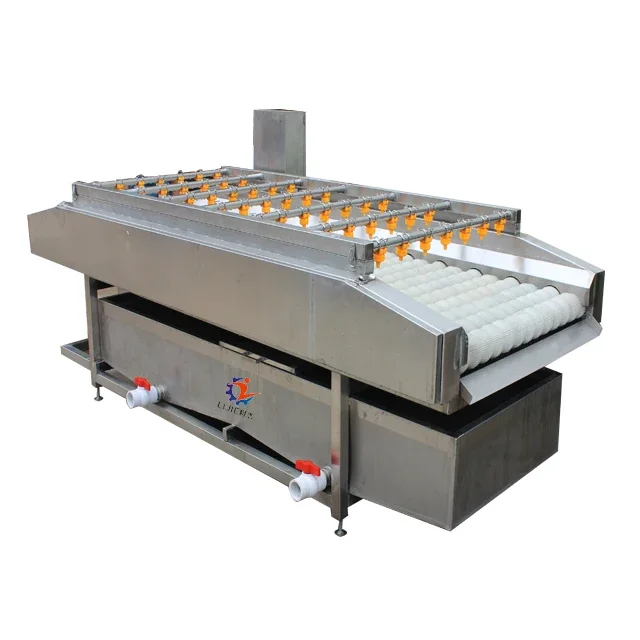 Commercial Soft Brush Wash Machine For Root Vegetables and Oval Fruits