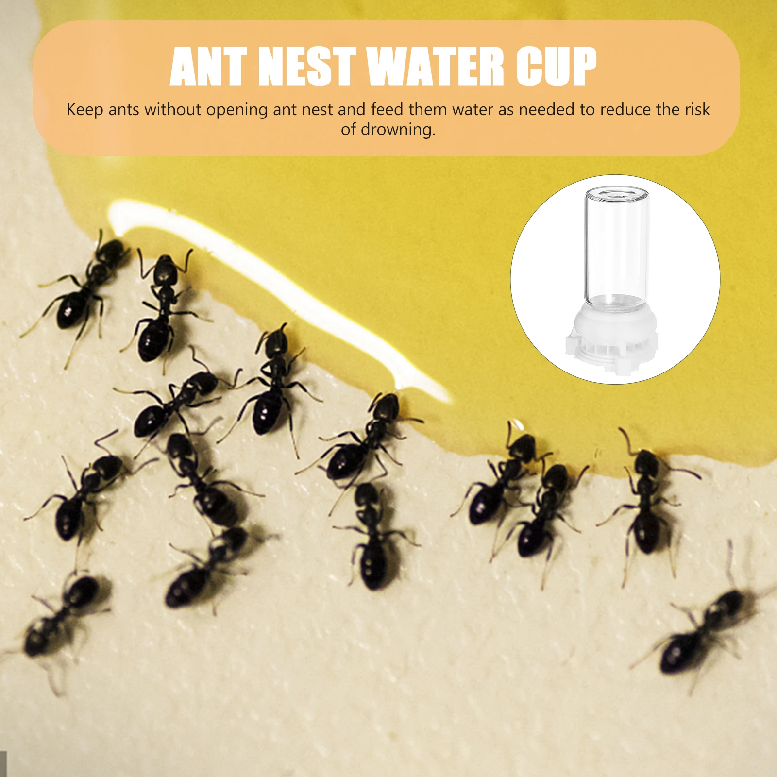 

2pcs Feeder Water Cups Transparent Durable Feeders For Ant Nest Easy Use No Drowning Risk Ant Water Feeding Cups For Garden