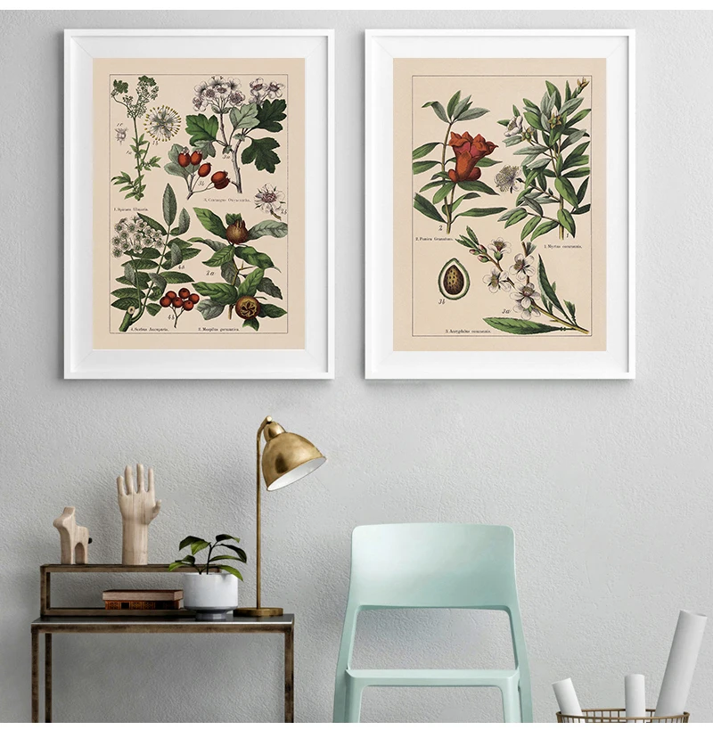 Vintage Botanical Herbs Posters and Prints Home Wall Decor , Antique Plant Botany Wall Art Canvas Painting Pictures for Kitchen