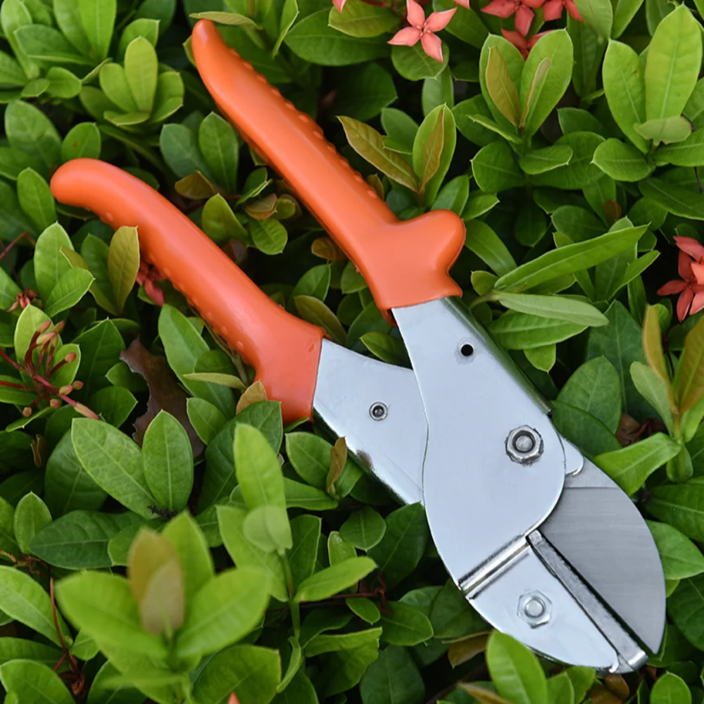 

SK5 Steel Pruning Shears Durable Sharp Flower Scissors Convenient Ergonomic Handles Fruit Tree Secateurs Horticulture