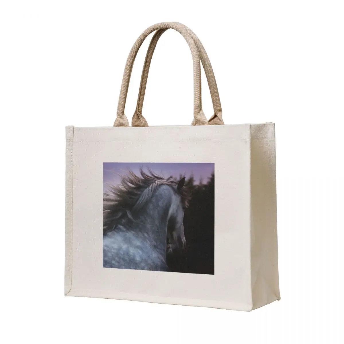 

My Dream Tote Bag shopper bags for women handbag sacs de shopping shopping cart bags