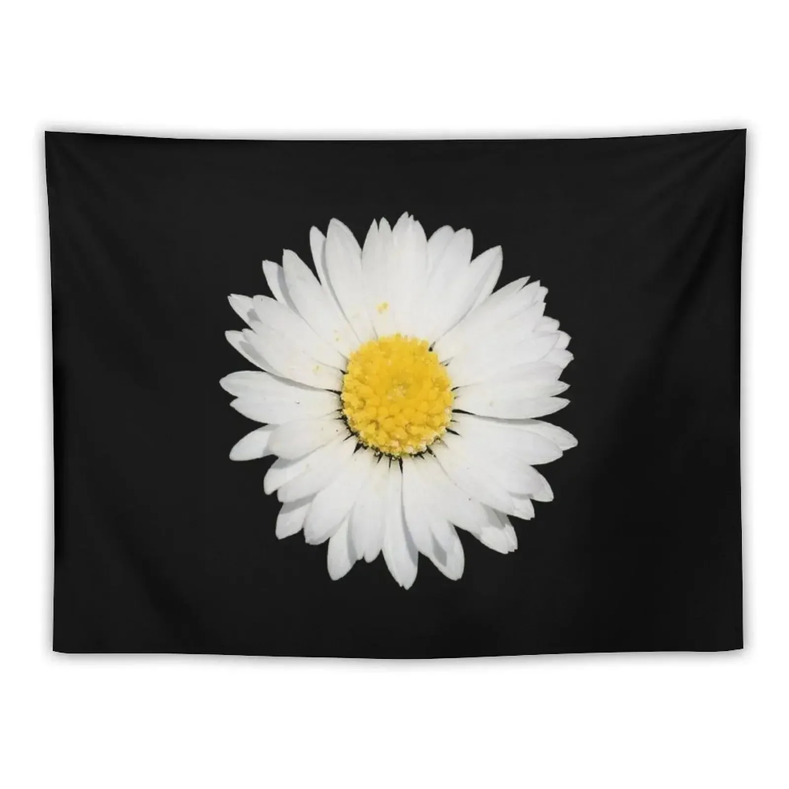 

Top View of a White Common Daisy Isolated on Black Tapestry Decorations For Room Home Decoration Accessories Tapestry