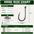 Size 2