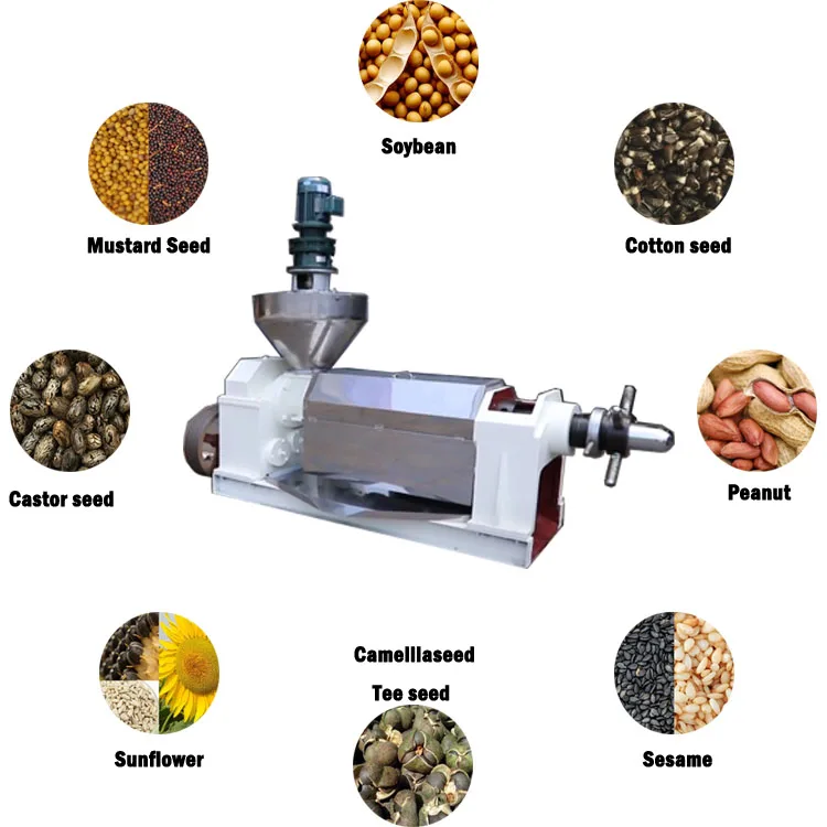 

Sunflower Oil Seed Pressurized Machine Oil Screw Press Coconut Oil Machine