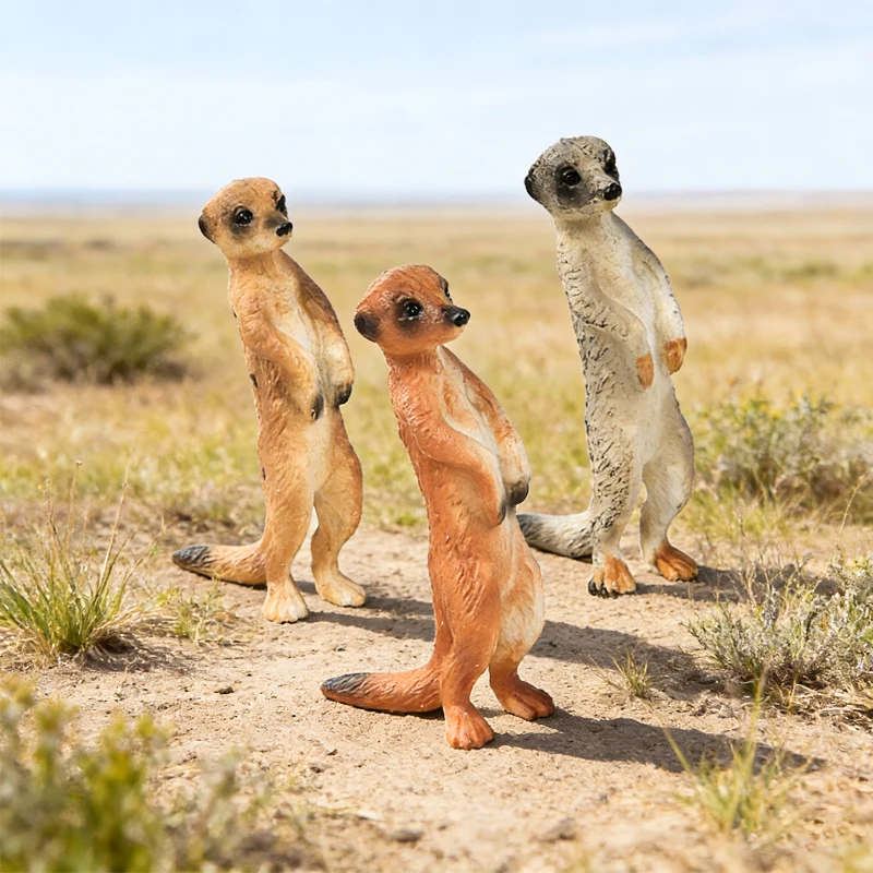 Oenux Simulation Neue Wilde Tierfiguren Stehende Wüsten-Meerkatze Otter Nutria Modell Actionfiguren Kinder-Lernspielzeug Geschenk – Detail 17