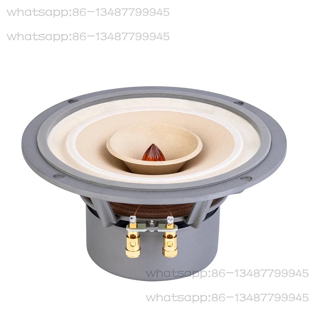 

8-Inch Full-range HiFi Speaker, Full-range Speaker Unit Fast-8 Pair