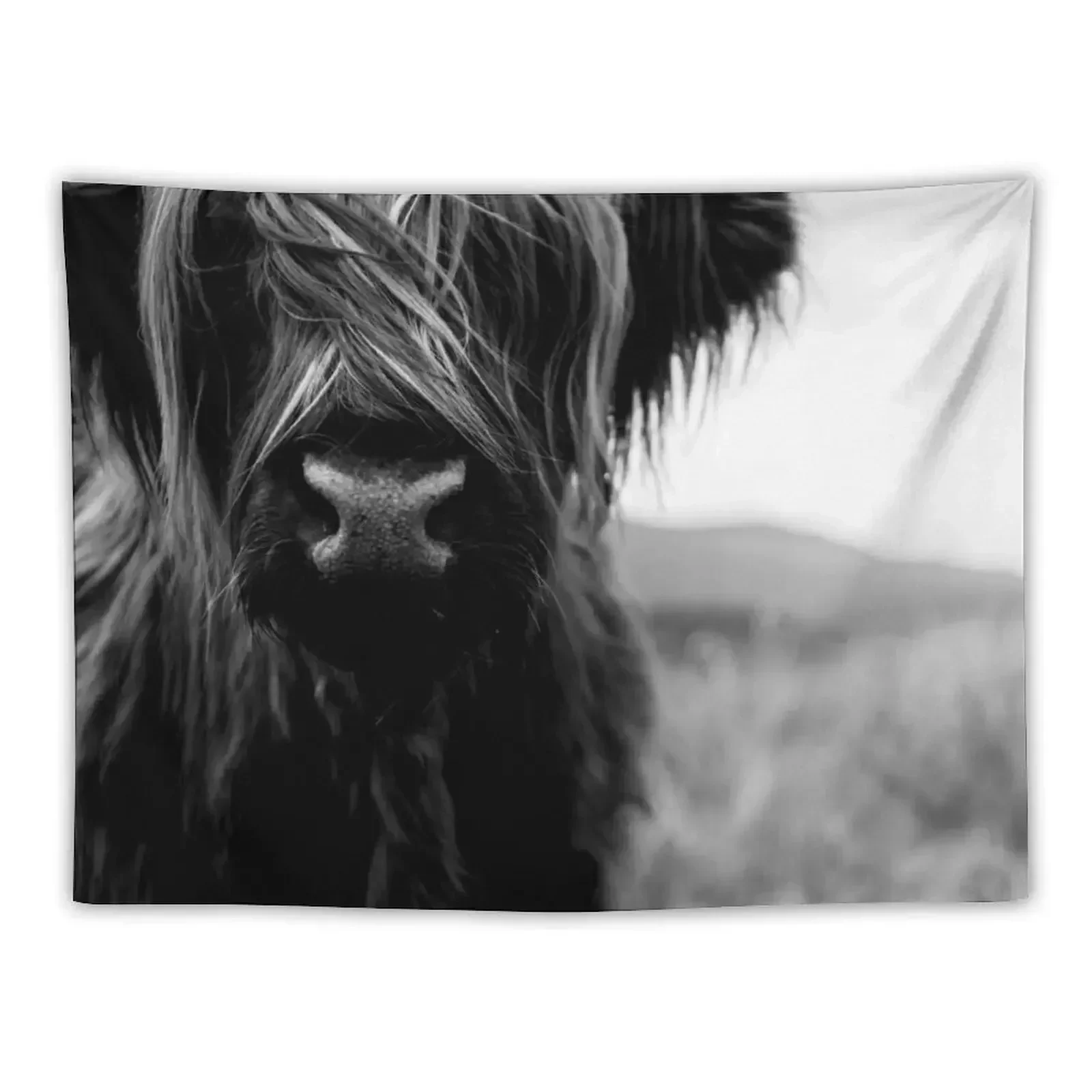 

Scottish Highland Cattle Baby - Black and White Animal Photography Tapestry Bedroom Deco Decoration For Bedroom Tapestry