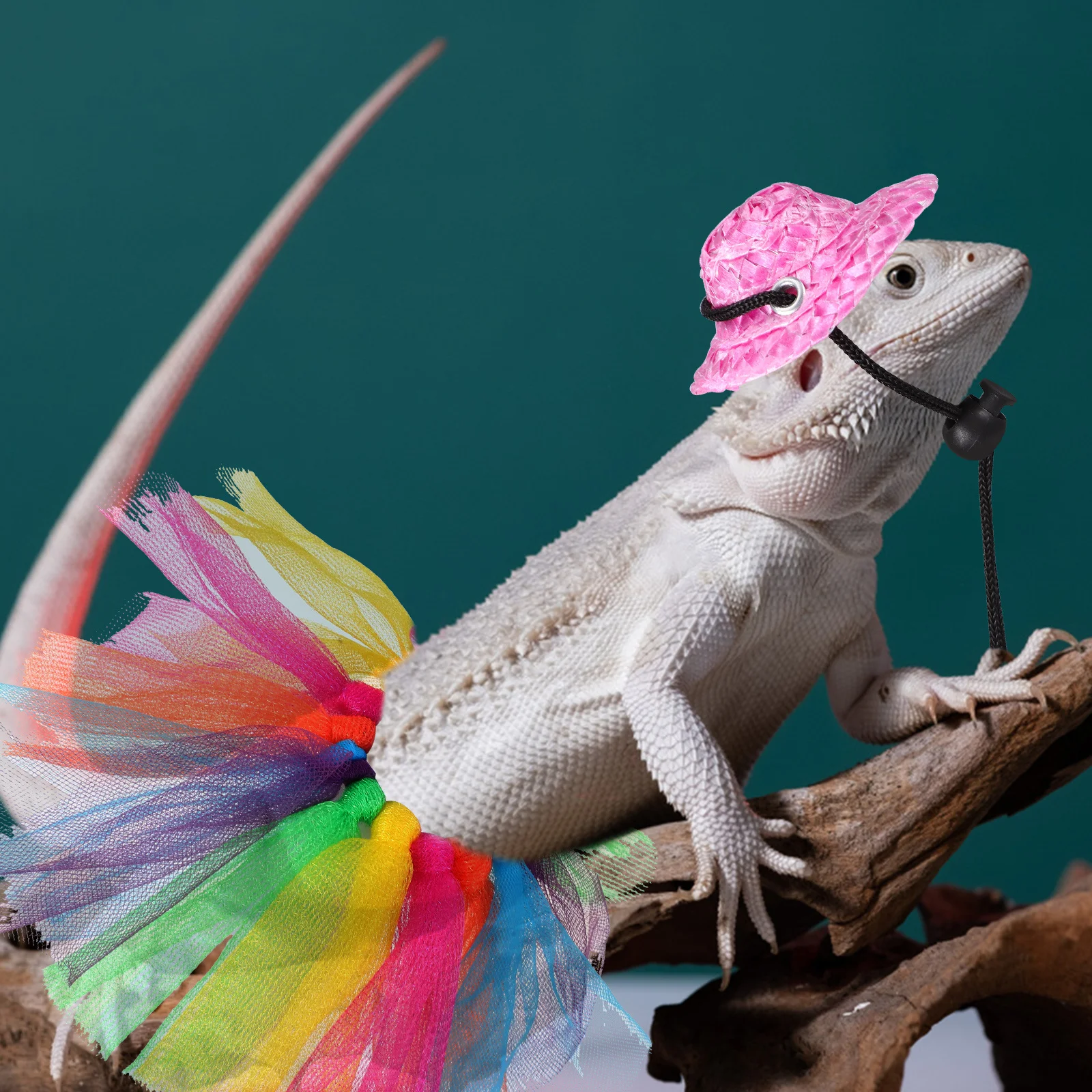 

1Set Bearded Dragon Costume Witch Hat Tutu Skirt Lightweight Small Pet Reptile Costume Props for Halloween Celebration
