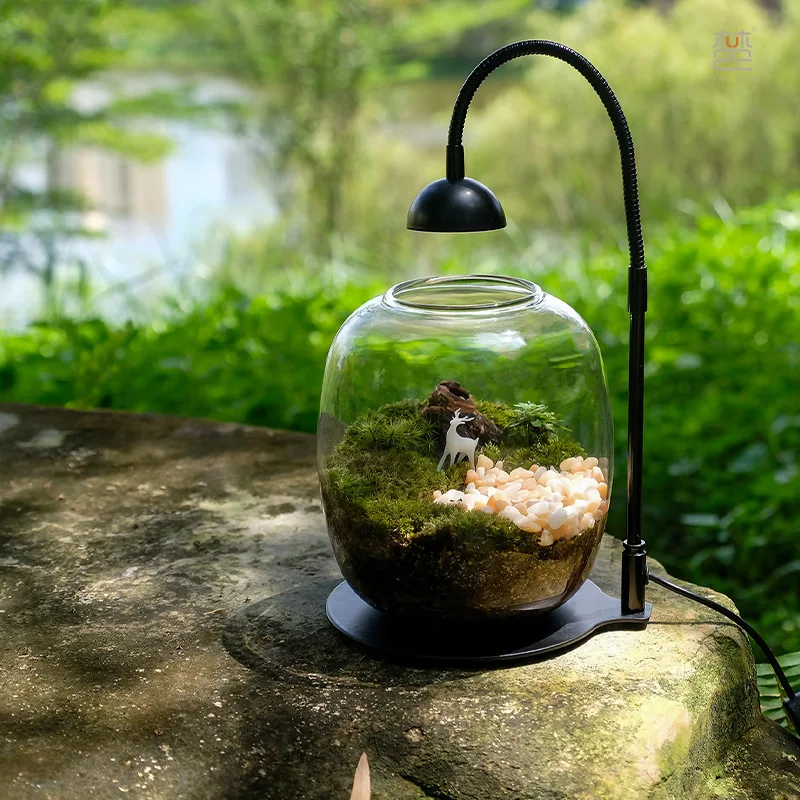 Fanong Red Hat Plant Growth Light Micro Landscape Light Moss Plant Supplement Light Direct Sales Factory