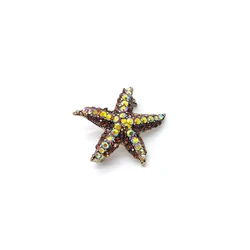 2022 New Sea Animal Starfish Small Brooch Summer Clothing Accessories Spot Gift