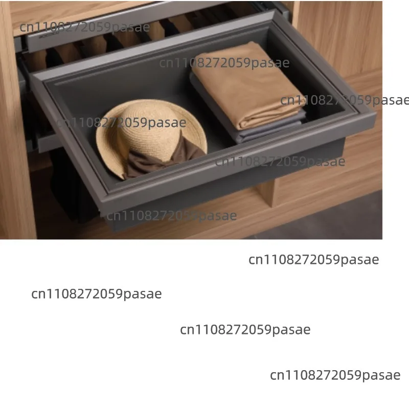Modern Wardrobe Accessories with Pull-out Leather Storage for Easy Organization and Accessibility R8006D