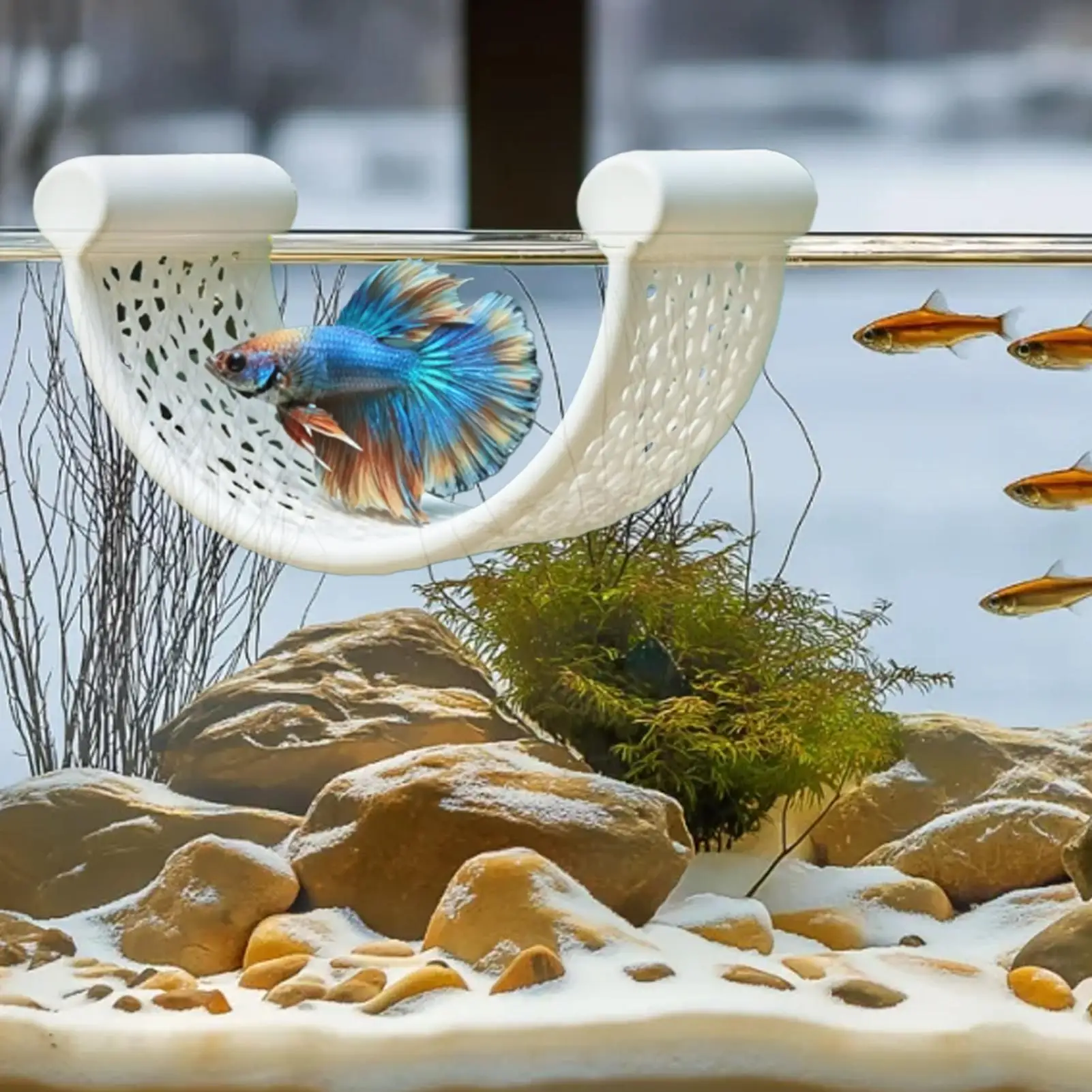 Hamaca decorativa para peces Betta, forma de U hueca, plataforma flotante para acuario, refugio para peces