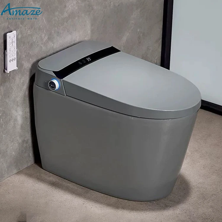 

ZC1 Luxury Integrated Automatic Flush Toilet Sanitary Ware Bathroom Gray Electronic Smart Toilet