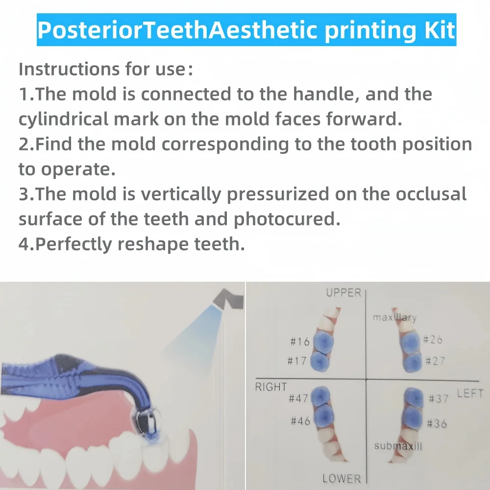 Dental Posterior Teeth Resin Printing Mould Aesthetic Fissure Stamp Restoration Tools for Dentists Lab Clinic
