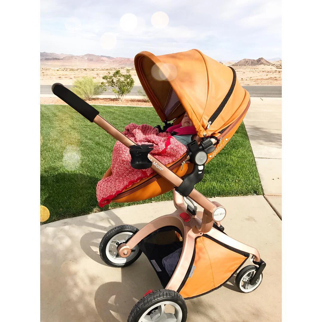 Hot Mom 2 in 1 Baby Pushchair, Baby Stroller,High Landscape Brown Stroller For Newborn Baby,Multiple Accessories,Model F22