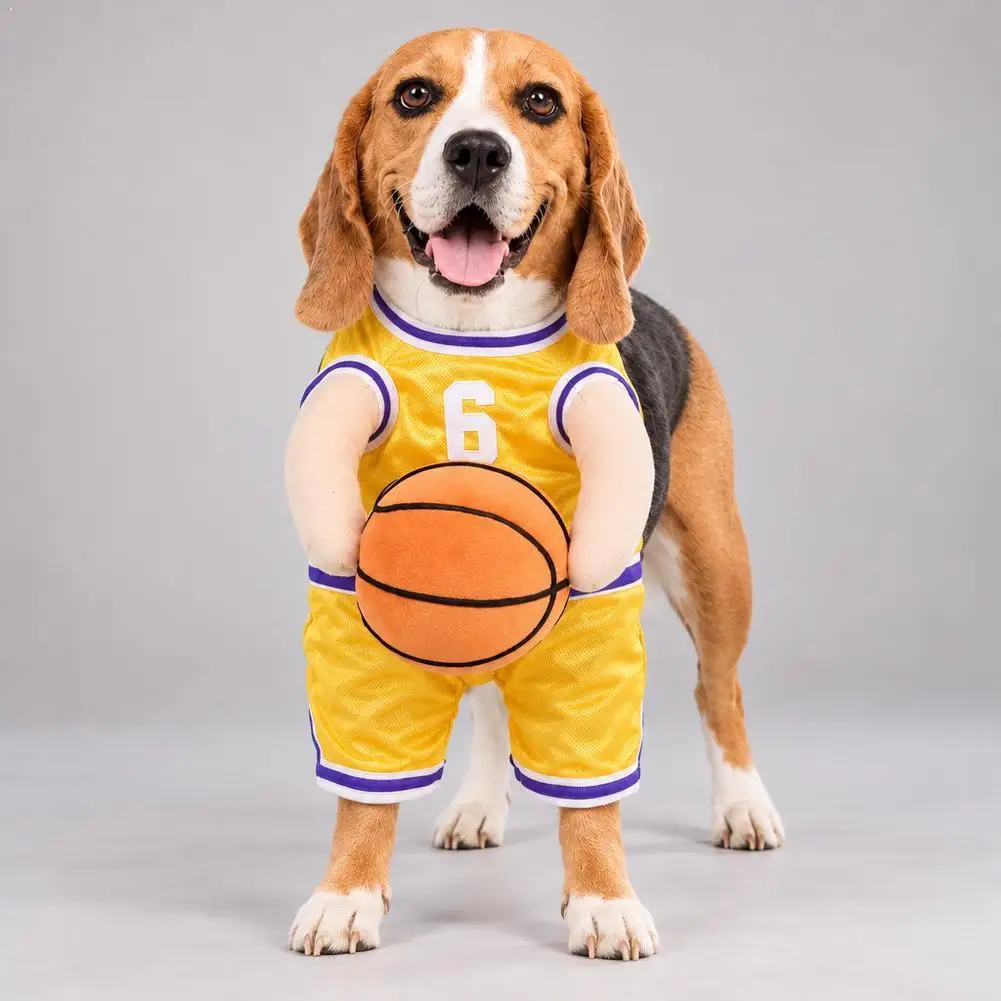 Divertido disfraz de jugador de baloncesto para perros, camiseta de baloncesto para mascotas, ropa de cosplay para perros medianos, accesorio para fiestas y sesiones de fotos, ropa deportiva.