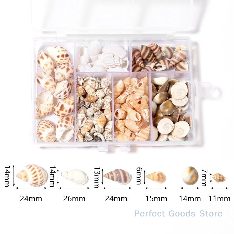 1 Box Sea Shells Spiral Shell Tiny Ocean Spiral Seashells Crafts Aquarium Decor Landscaping Accessories