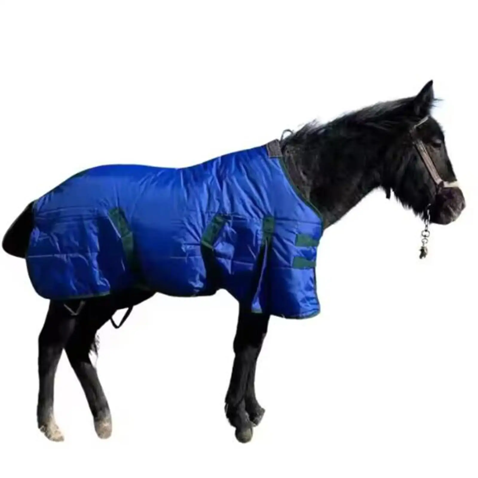 بطانية الحصان، ملابس مقاومة للتمزق، الطقس البارد، عزل، مقاوم للرياح، ملابس الحصان، ورقة العناية بالخيول #6