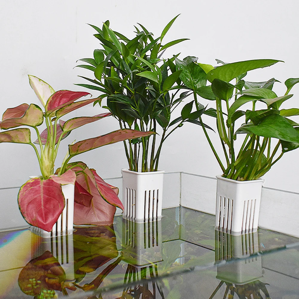 1 Pc Aquarium Hydroponic Planters Wall-Mounted Easy Install Fish Tank Decor with Hanging Basket for Greenery & Aesthetic Display
