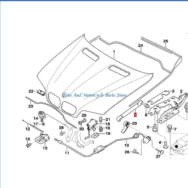 P9FD 2PCS Xe nâng có hỗ trợ Hoods Struts Damper Shock Lift Lift Hỗ trợ cho E53 00-06