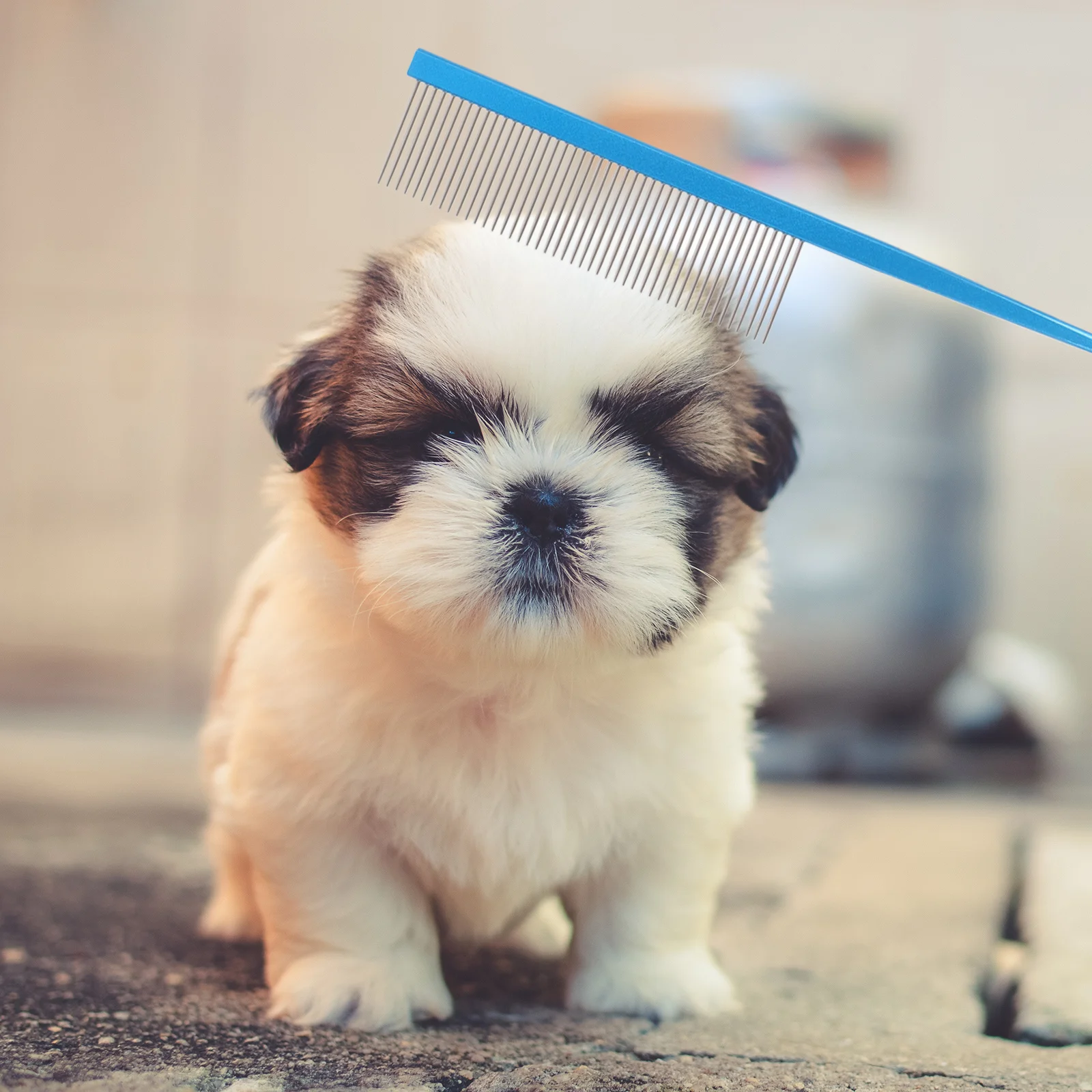 

3Pcs Stainless Steel Pet Comb Fine Tooth Grooming Tool for Dogs Cats Hair Removal Shedding Tangle Detangler Metal Dog Comb