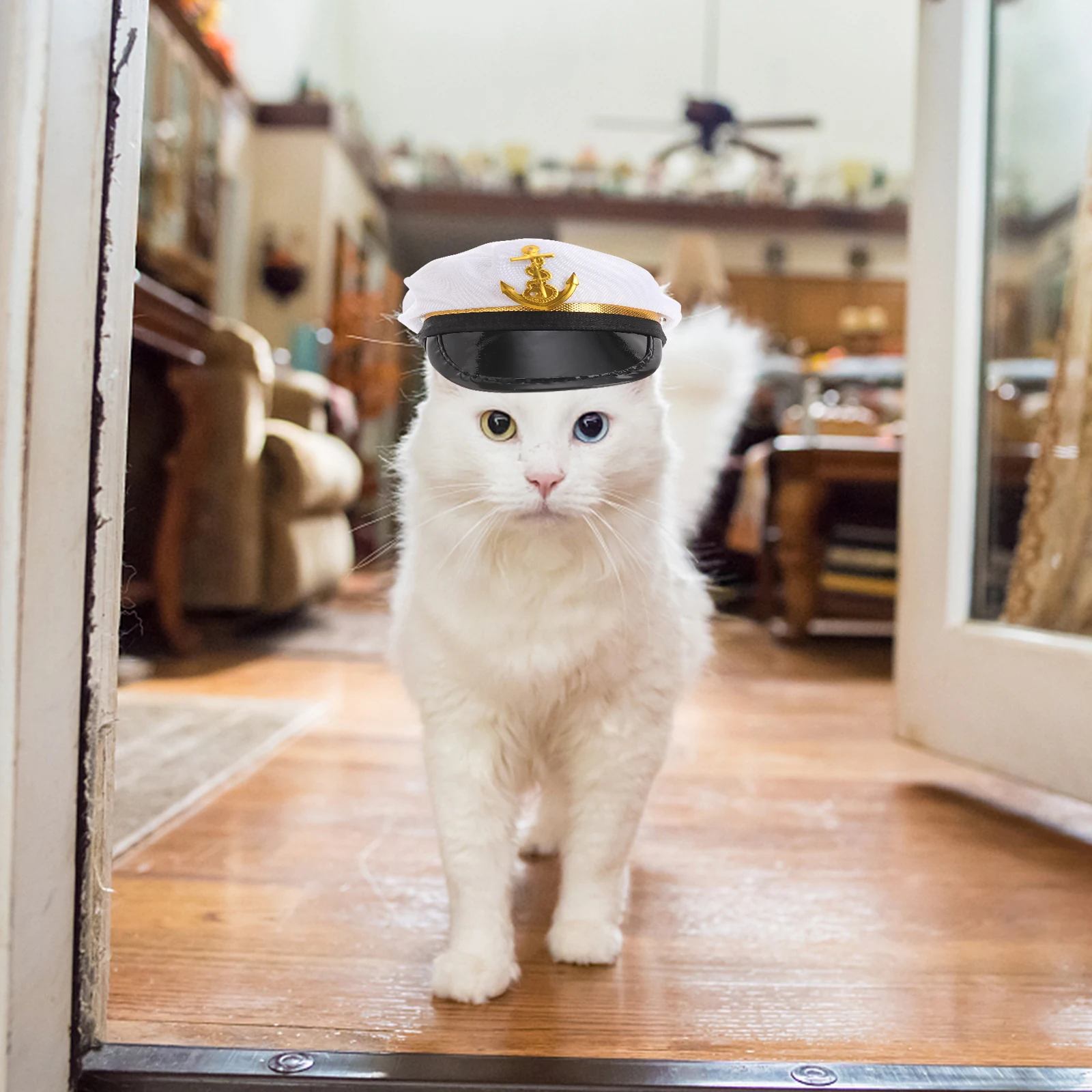 

pet hat pet cosplay hat cat hat puppy hat pet cosplay prop cat party hat