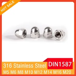 M5 M6 M8 M10 M12 M14 M16 M20 DIN1587 A4-80 Acorn Nuts 316 Stainless Steel Hexagon Cap Nut Domed Nuts for Decoration