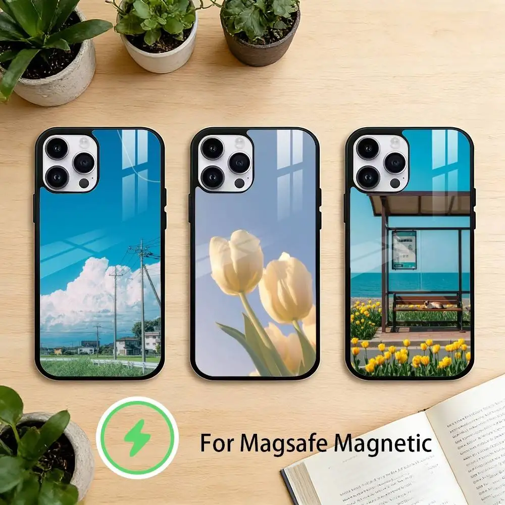 

B-Beautiful S-Scenery Phone Case For iPhone 17/16/15/14/13/12/Plus/Pro/Max for Magnetic Wireless Charging
