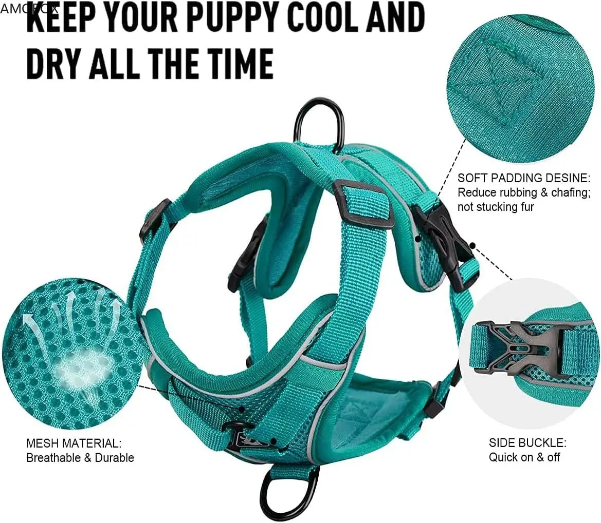 AMOBOX-Front Clip Dog Vest, Pull Dog Harness Set,Soft Mesh, Reflective, Breathable, Adjustable, Training for Small Dog, Big Cat