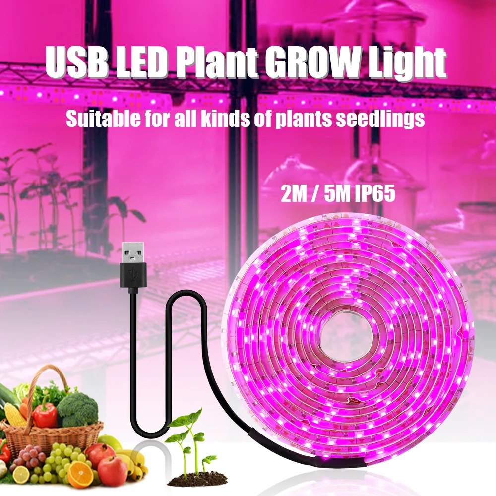 5V USB Led roślina światło rozproszone 2M 5M 5M pełne spektrum lampy hydroponiczne lampy do wzrostu rośliny doniczkowe kwiaty szklarniowe nasiona