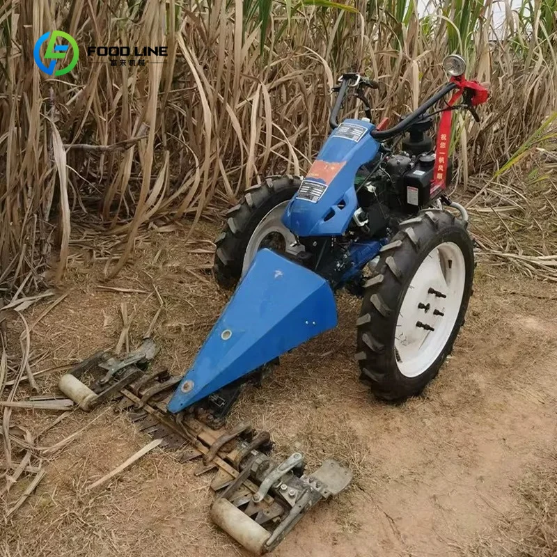 Customized High Efficiency Easy Operation Heavy Duty Sugarcane Harvester Built for Large-Scale Plantations