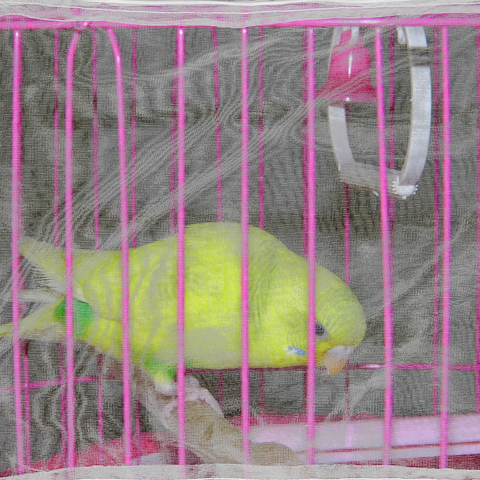 

Bird Cage Seed Catcher Nylon Mesh Cover Elastic Fit Breathable Splash Proof Net for Parakeet Parrot Square Round Cage