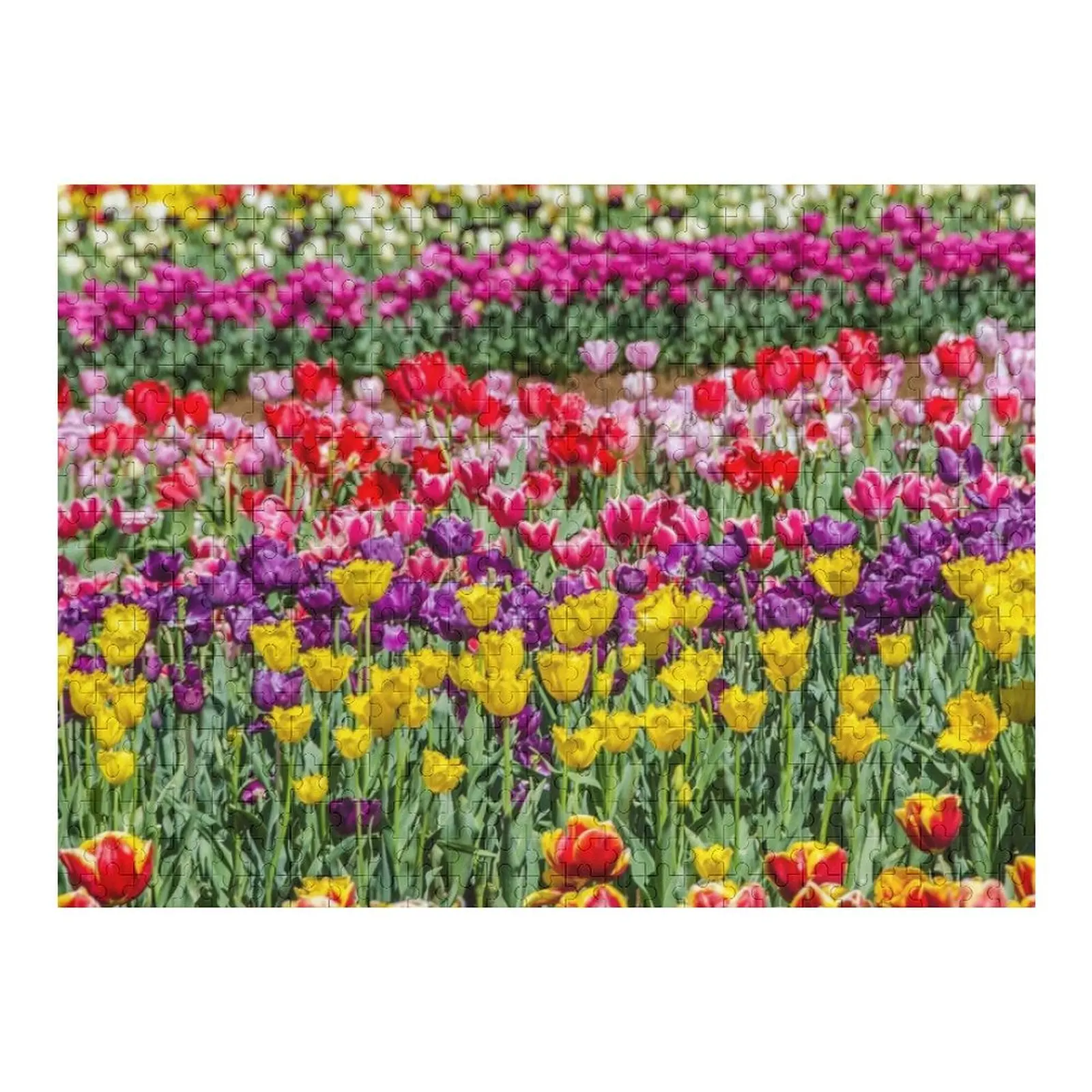 

Tulips Jigsaw Puzzle Jigsaw Pieces Adults Custom Name Child Toy Personalized Photo Gift Puzzle