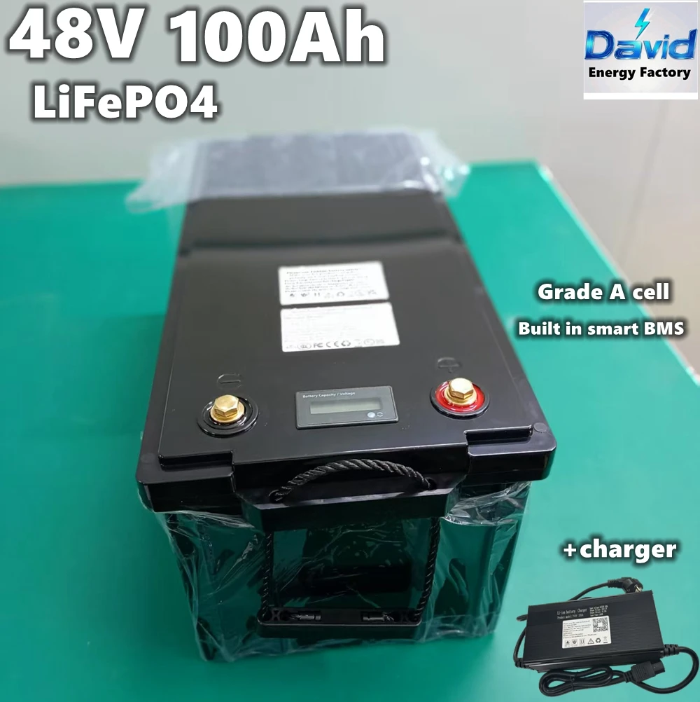 waterproof 48v 100AH golf cart Grade A LiFePO4 battery with BMS for tricycle inverter Solar energy storage scooter +10A charger