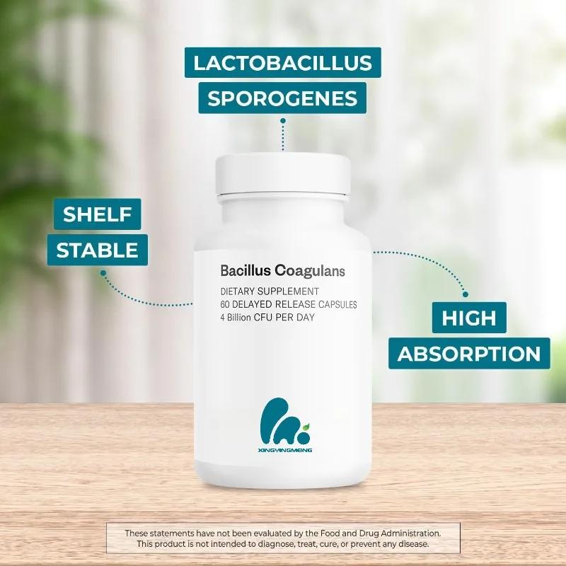 

Bacillus coagulans probiotic 4 billion CFU per day high absorption lactobacillus spore supplement -60 sustained-release capsules