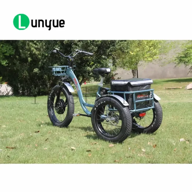 24 Inch Front 20 Inch Rear Fat Tire Electric Cargo Tricycle Pedal Assist E Trike for Adults Heavy Duty Utility Transport