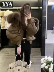 Manteau en duvet avec col en fourrure de raton laveur pour femme, manteau court, manches longues, mode décontractée, optique, chaud, nouveau, hiver