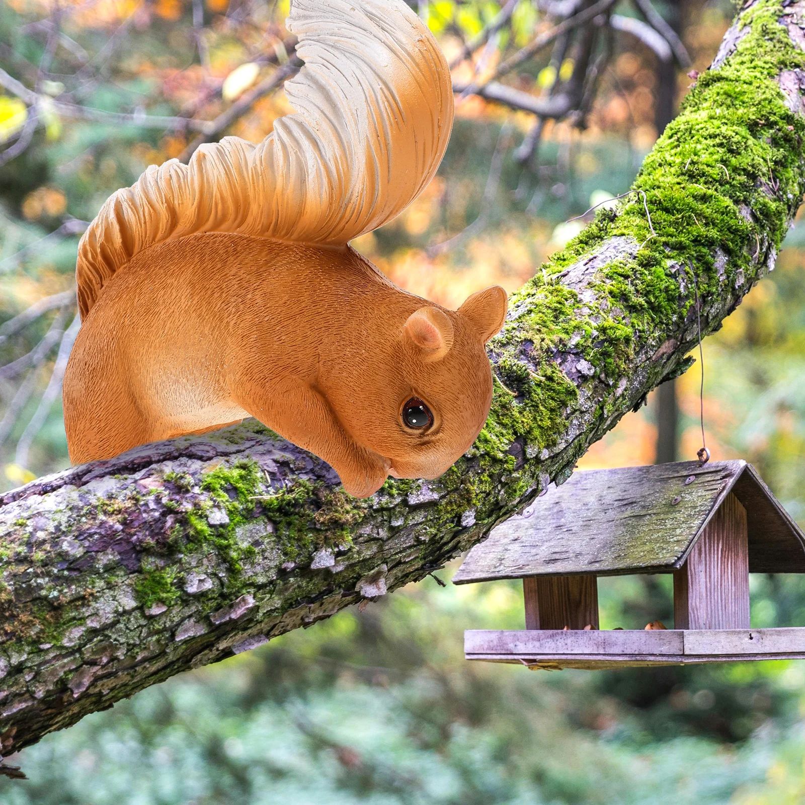 

1Set Realistic Resin Squirrel Decoration Lifelike Wildlife Animal Figure for Home Office Desk Ornament Educational Display