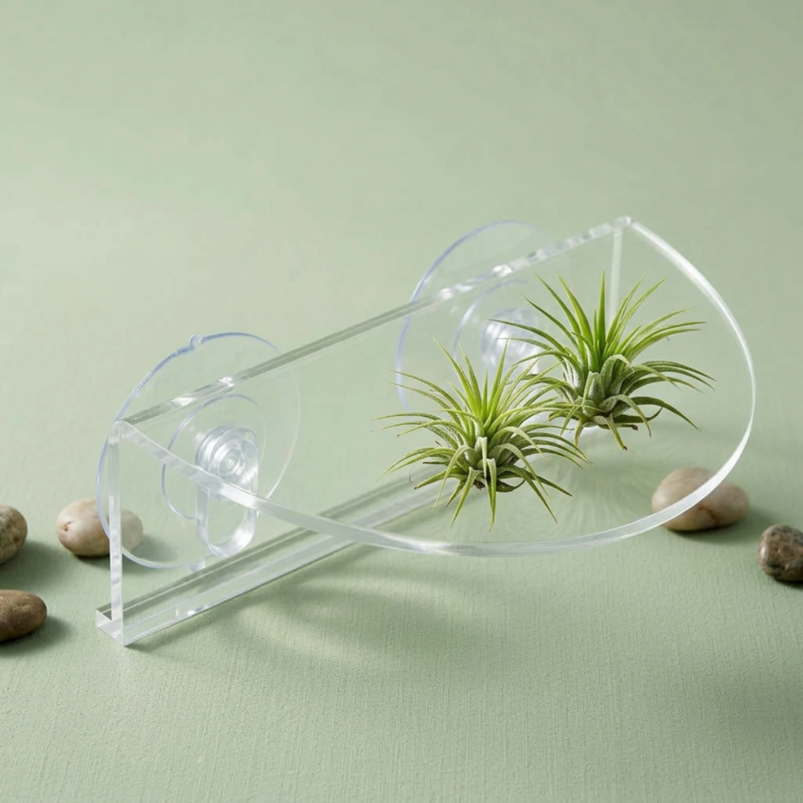 Acrylic Window Plant Shelf Versatile Clear Aquatic Habitat Planter Household Organizer Space-Saving for Kitchen